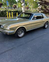 Image result for Honey Gold 1965 Mustang