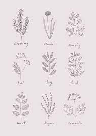 30 Easy Ways To Draw Plants Leaves Plant Sketches Herbs Illustration Leaf Drawing Find & download free graphic resources for aesthetic.
