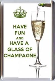 Have Fun And Drink Champagne Fridge Magnet Unique Champagne Lover S Christmas Gift