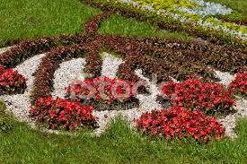 For silk or artificial flowers, you can create floral wreaths, centerpieces, holiday decorations which include a. Blumen Zeichnen Stockfotos Freeimages Com