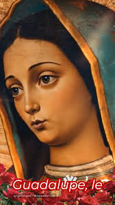 Gener󠄤ad󠄧o 󠅓por󠄢 󠅖I󠄤A󠅔 (Au󠅑d󠄝i󠄣o 󠄢y Vi󠅒s󠄤u󠄝a󠄤l󠄨e󠄠s) 󠅔/󠄝  󠅑AI-G󠅓e󠅒n󠄥er󠄝a󠄢t󠅑e󠄡d󠄣 󠄧(󠄦Au󠅕d󠄥io 󠄠&󠄤 Vis󠅓u󠄧als)