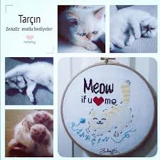 Kedi Beslemek Sunnettir Hz Muhammed Uhud Seferinde Ordunun Onune Yavrularini Emziren Bir Kedi Cikinca Kedinin Basina Ezi Cross Stitch Tennis Racket Stitch
