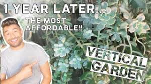 Find everything from smart storage solutions, mattresses, textiles, wardrobes to kitchens & more. 1 Year Later The Most Affordable Vertical Garden Ikea Hack Youtube