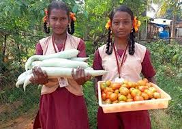 India Tamil Nadu Panchayat School Attracts Kids By Teaching Organic Farming Organic Farming Vegetable Farming Farm