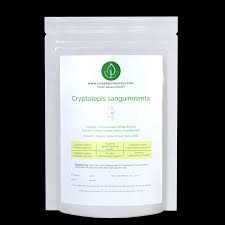 Image result for Cryptolepis apiculata