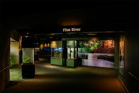 Flint River Gallery at Flint RiverQuarium in Southwest Georgia