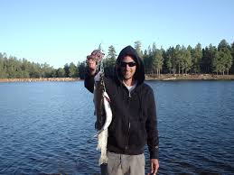 Woods Canyon Lake Hookedaz Arizona Fishing Community
