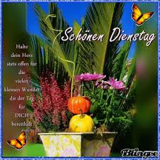 Https Encrypted Tbn0 Gstatic Com Images Q Tbn And9gcshilhn1h6soq2cvwz8l0ryolhebl6igjc Cq Usqp Cau