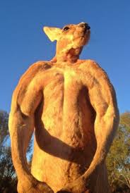 These Amazing Animals Look So Much Like Humans Red Kangaroo Kangaroo Kangaroo Jack