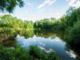 Building lot with seasonal water views of woods pond. Land With Pond For Sale Near Me Land For Sale Land Soar