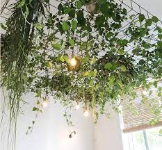 17 Unique Ceiling Design Ideas For Interior Design Unikavaev Interior Design Plants Balcony Decor Ceiling Decor