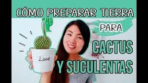 Como hacer sustrato casero totalmente gratis! Como Preparar Tierra Para Cactus Y Suculentas Facil Y Rapido Youtube
