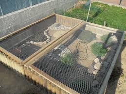 Exemples Enclos Pour Bebes Ou Juveniles Terrarium Tortue Enclos Tortue Tortue Terrestre