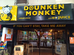 Monkey, drink, south africa, simanga wallpaper (photos, pictures). How To Open Drunken Monkey Franchise Cost Profit And Process Next Business Ideas