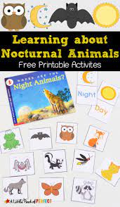 Learning About Nocturnal Animals Free Printable Activities Nocturnal Animals Activities Animal Activities Nocturnal Animals