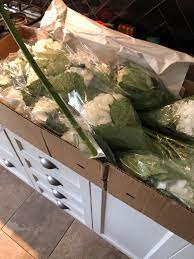 Hydrangeas make perfect flowers for dreamy wedding decorations: Costco Bulk Flowers Hydrangeas Album On Imgur