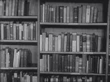 Download gif supersimpletv, kinzie, tochigi, bookworm, or share interior design animationchicago, books, you can. Bookshelf Gifs Tenor