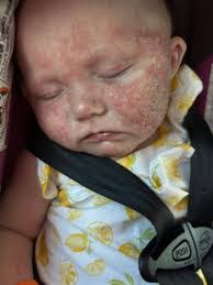 Amanda Coldren's Instagram, Twitter & Facebook