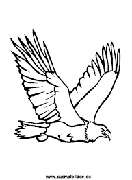 Malvorlage Brandenburger Adler Coloring And Malvorlagan