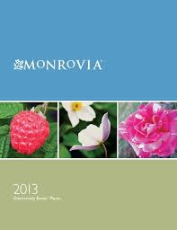 Its burgundies become most vibrant in the springtime sun. Monrovia S 2013 Catalog Cascadian Nurseries
