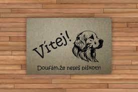 Image result for zlatý retrívr