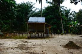 Setiap rumah adat pasti memiliki ciri khas. Rumah Adat Khas Masyarakat Bangka Belitung Sekilas Pondok Kebun Di Bangka Enjoybangka