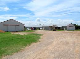 Land for sale in franklin county tx. Poultry Farm 20 Acres East Texas Farm For Sale In Winnsboro Franklin County Texas 204670 Farmflip