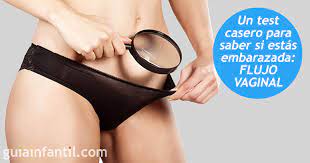 Util Y Sencillo Test De Embarazo Casero Del Flujo Vaginal
