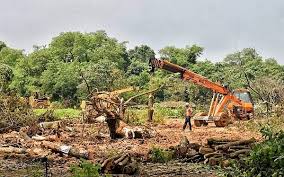 It is classified as mixed moist deciduous type forest. Metro Construction Finally Mumbai S Aarey Forest Saved Newsbharati