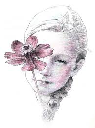 Chocolate cosmos flower by alyson fennell. Chocolate Cosmos Graphite And Colored Pencil On Paper Etsy Flickr