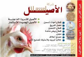 شركة الأصيل animals rooster bird