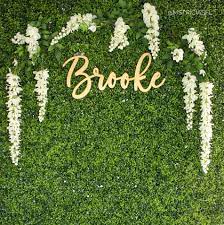 Beautiful Faux Boxwood Wall With White Wisteria Flowers For Backdrop Wall For Pictures Great For Backgr Picture Backdrops Boxwood Backdrop Beauty Party Ideas