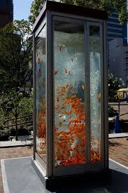 A Group Of Artist Who Call Themselves Kingyobu Meaning The Goldfish Club In Japanese Transformed Old Telephone Booths On The Str Foto Artistiche Foto Sfondi