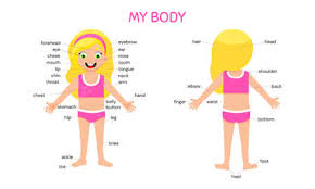 ✓ free for commercial use ✓ high quality images. Body Parts Kids Stock Photos And Images 123rf