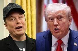 Donald Trump hails 'Truly great American' Elon Musk in mad rant promising  to 'buy new Tesla' - The Mirror