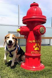 For that reason, water fountains can do a much better job in improving your dog's drinking habits as they are more appealing to them due to the. Spray Fire Hydrant