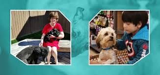Maybe you would like to learn more about one of these? Pet Adoption In Concord California Bay Area Animal Rescue