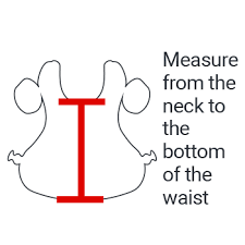 Catcher Sizing Guide