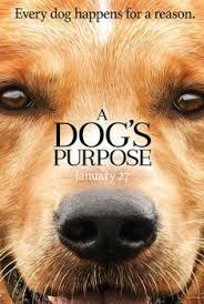 Une équipe a suivi les premiers moments de la vie de chiots, de la naissance à la première sortie. Film Mes Vies De Chien 2017 En Streaming Vf Papystreaming