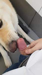 ZooTube1.com