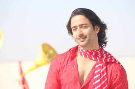 The actor and his wife, ruchikaa kapoor, the head of ekta kapoor's film division, are shaheer sheikh and ruchikaa kapoor expecting their first child. Shaheer Sheikh On Tv Industry S Shutdown Amidst Coronavirus Pandemic