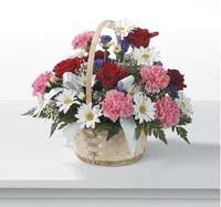 Dorothy Forney Obituary