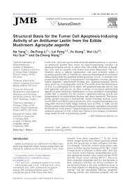 To be fair, word isn't a graphics program; Pdf Structural Basis For The Tumor Cell Apoptosis Inducing Activity Of An Antitumor Lectin From The Edible Mushroom Agrocybe Aegerita