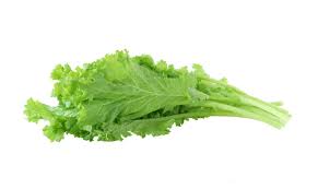 We did not find results for: Mustard Leaves
