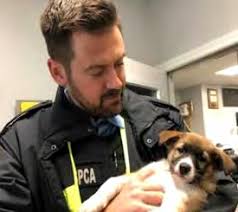 FSCS Collated Newsletter