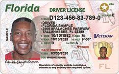 Downloadable Materials - Florida Department of Highway Safety and Motor Vehicles