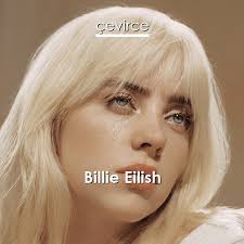 Darkroom and interscope records released it as the lead single from the netflix drama series 13 reasons whys second season soundtrack. Billie Eilish You Should See Me In A Crown Englisch Songtext Deutsch Ubersetzung Ubersetzer Corporate Cevirce