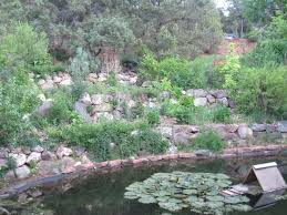 central rocky mountain permaculture apios institute edible forest garden wiki useful plant species re forest garden permaculture gardening permaculture