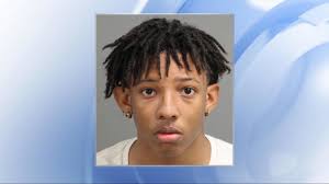 Teen accepts plea deal in murder of 17-year-old girl, sentenced to up to 22  years in prison