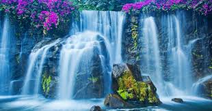 19 3d Moving Wallpapers Nature Just Send Us The New 3d Live Wallpaper Windows 10 You May Have And We Will Publish Moving Wallpapers Live Wallpapers Waterfall